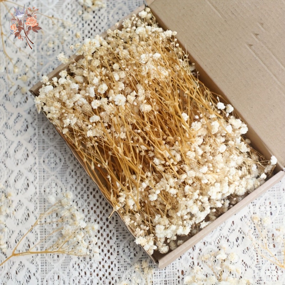 100 adet Mini Kurutulmuş Cipso - Embellish Craft incelemesi ve fiyatı